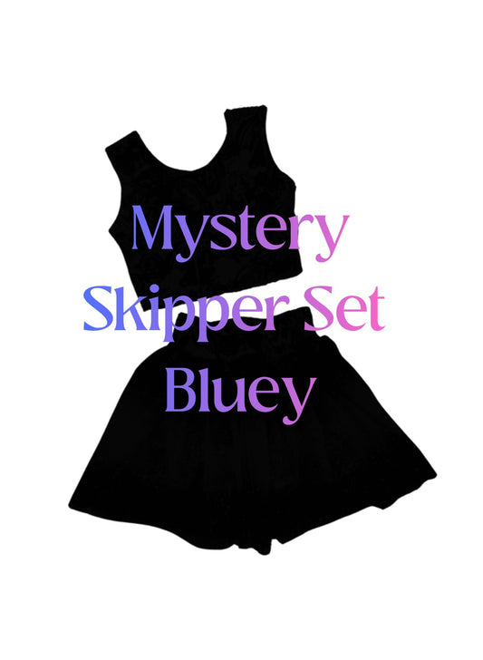 Mystery Skipper Set - Bluey Theme